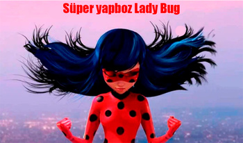 Süper yapboz Lady Bug