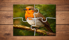 Puzzles Relajantes: Rompecabezas para Adultos