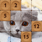 Gra Fifteen Pictures Puzzle