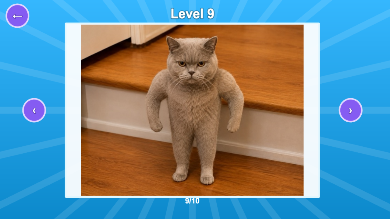 Cat Memes: Cats and Meme Puzzles! — screenshot 10