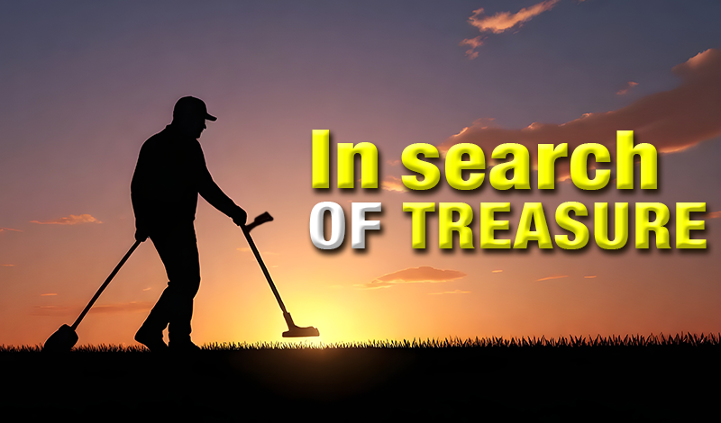 In search of treasure game cover