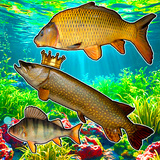 Connect the fish - Reach the Pike