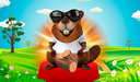 Beaver, be kind: put down a log!