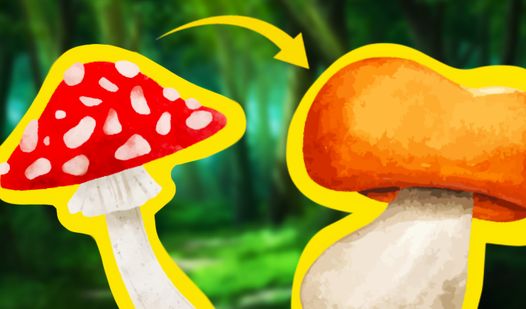 Mushrooms Merge 2048! Collect all