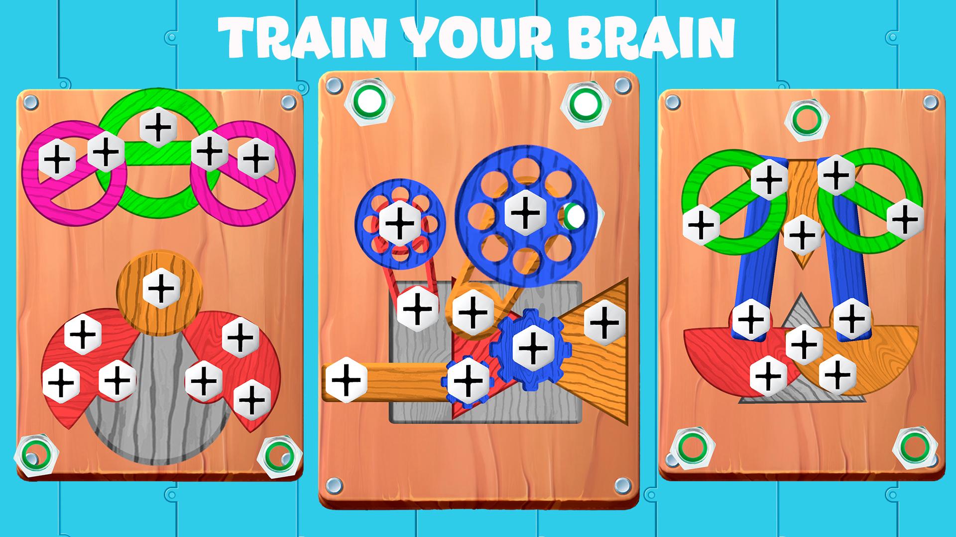 Bolts Puzzle: Nuts & Screw Pin screenshot