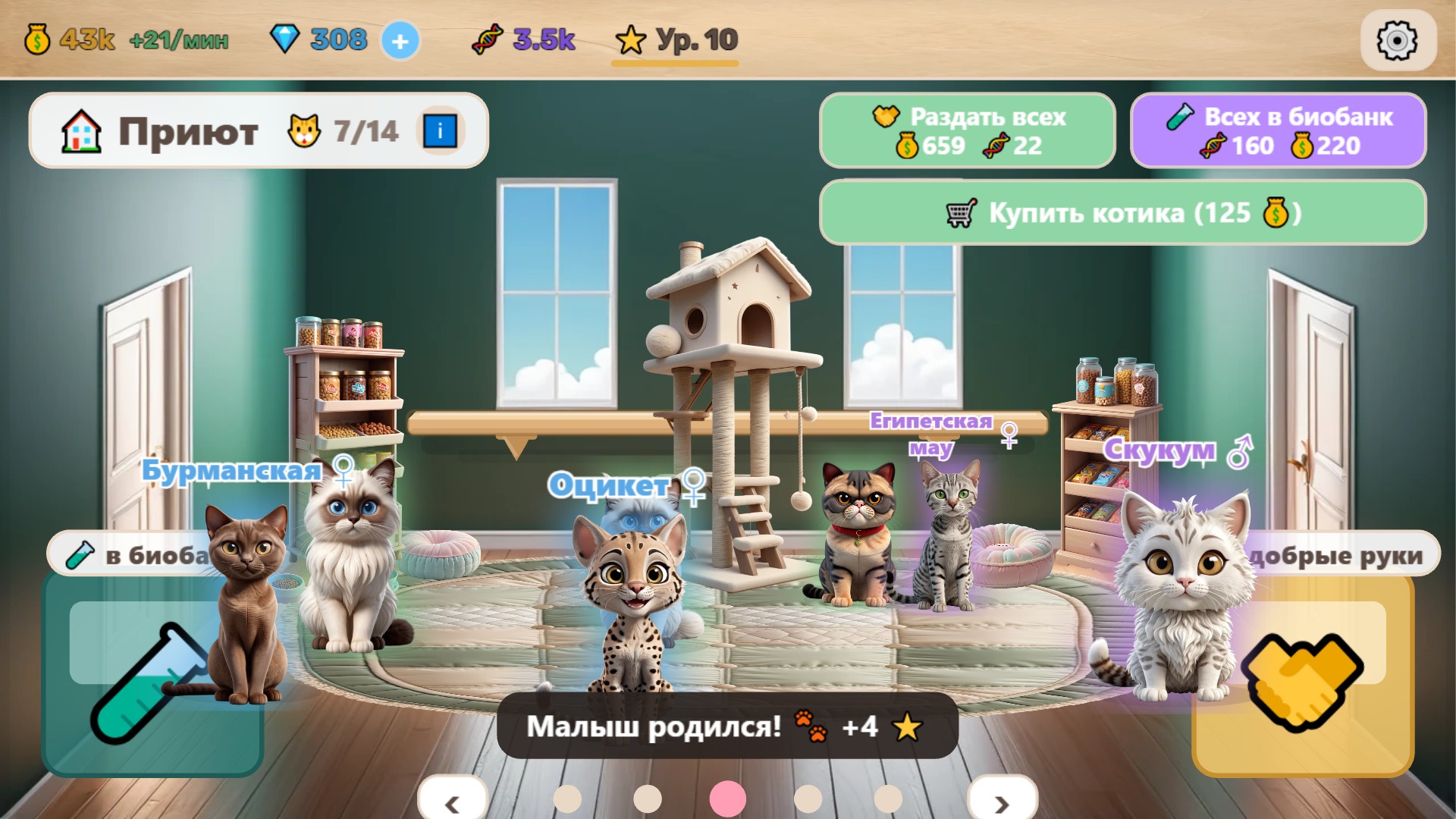 Котолаборатория — screenshot 13