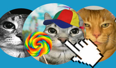 Catball: Connect the Cats
