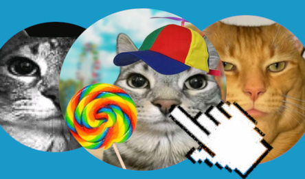 Catball: Connect the Cats