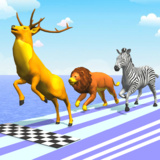 Animal Race