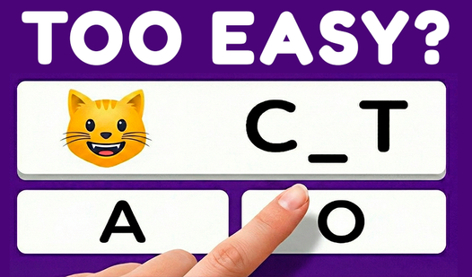 Brainy: Trivia & Logic