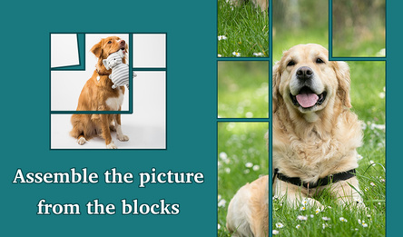 Assemble the picture from the blocks