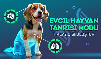 Evcil Hayvan Tanrısı Modu Tıklayıcısı Oluştur