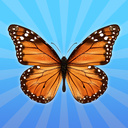 Butterflies: 2048!