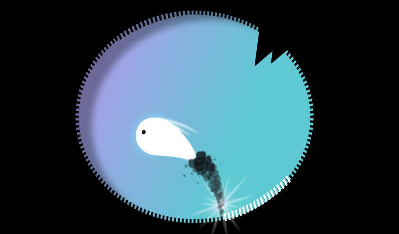 Radius game cover