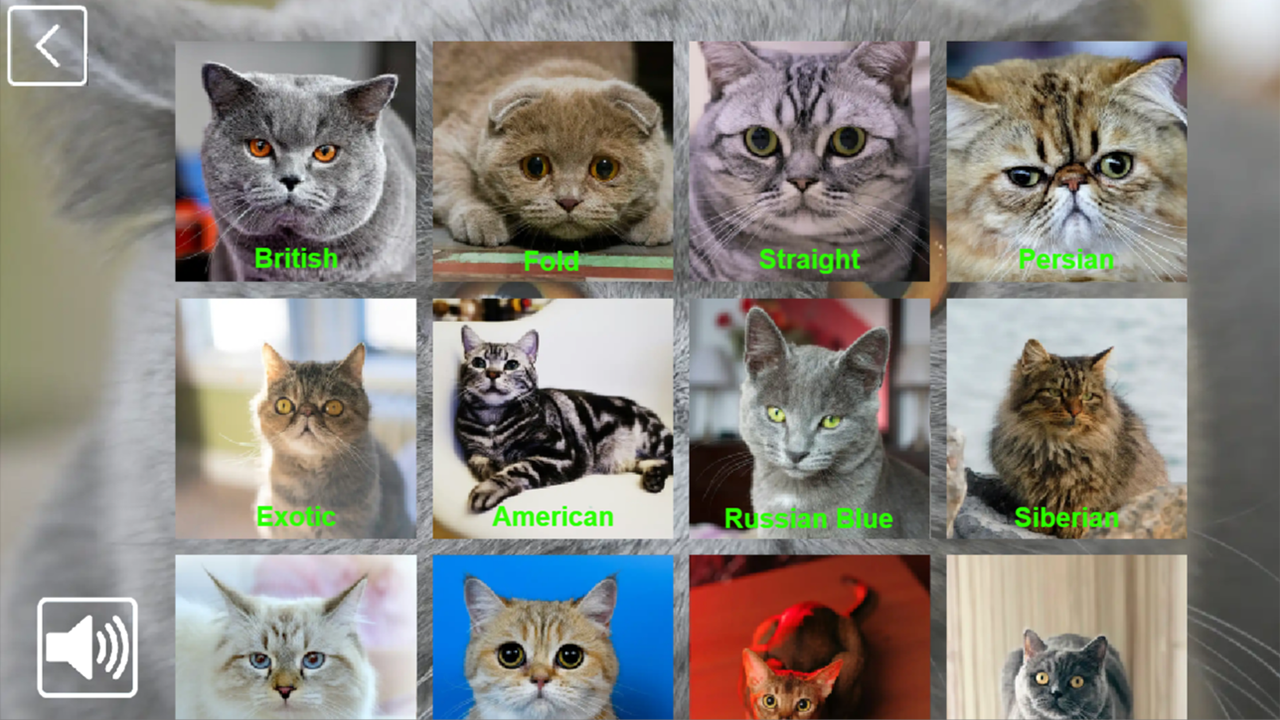 CatCollection: 48 Breeds — screenshot 1
