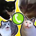 Call Meme Cats