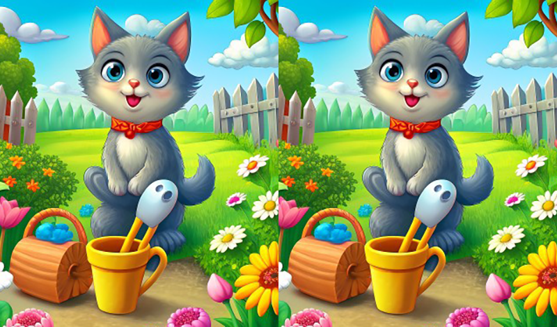 Find the Difference Master game cover