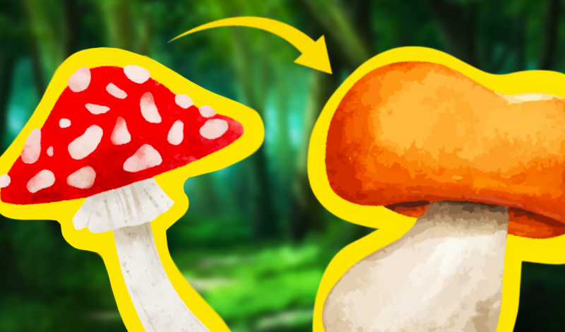 Mushrooms Merge 2048! Collect all game cover