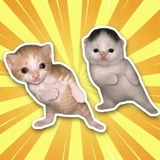 Cats Dance!