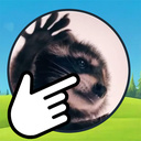 Clicker: Pedro the Raccoon!