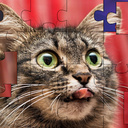 Lustige Katzen: Puzzle