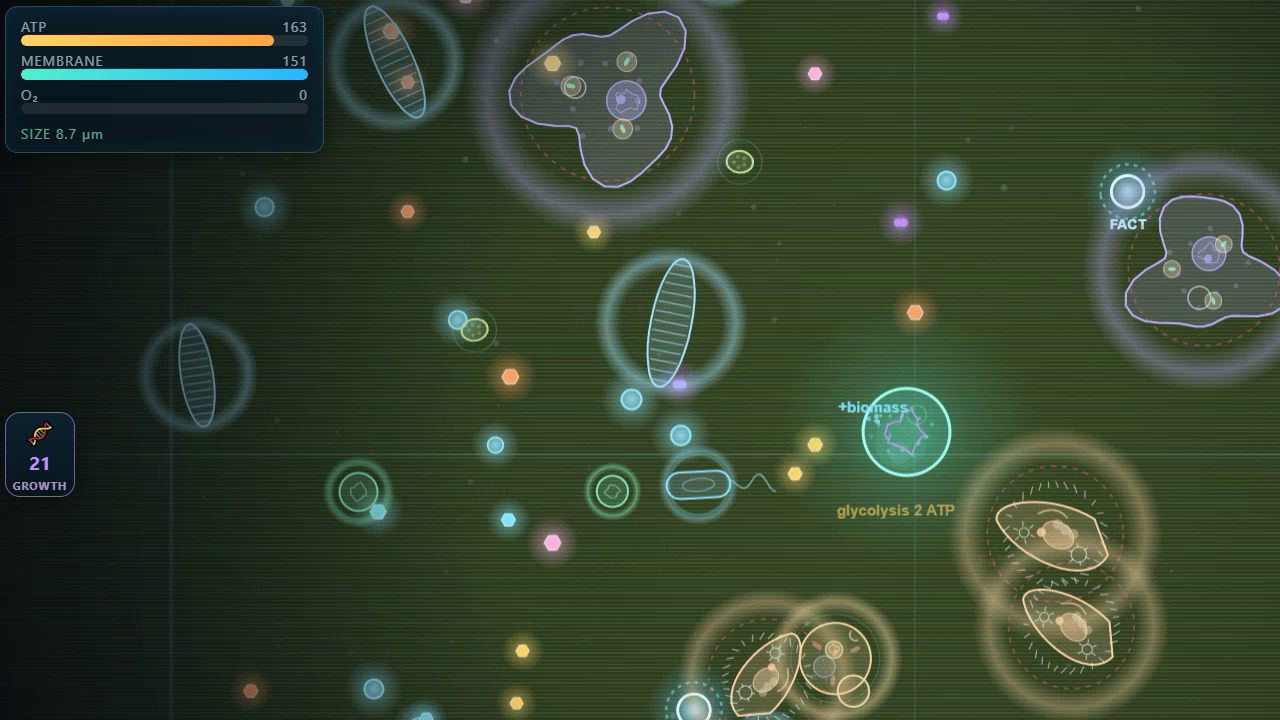 Bacteria Simulator — screenshot 2