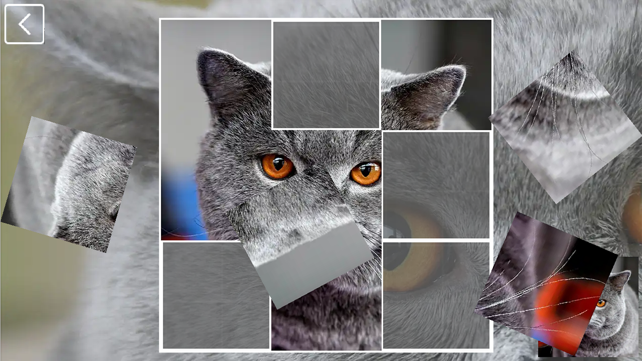 CatCollection: 48 Breeds — screenshot 5