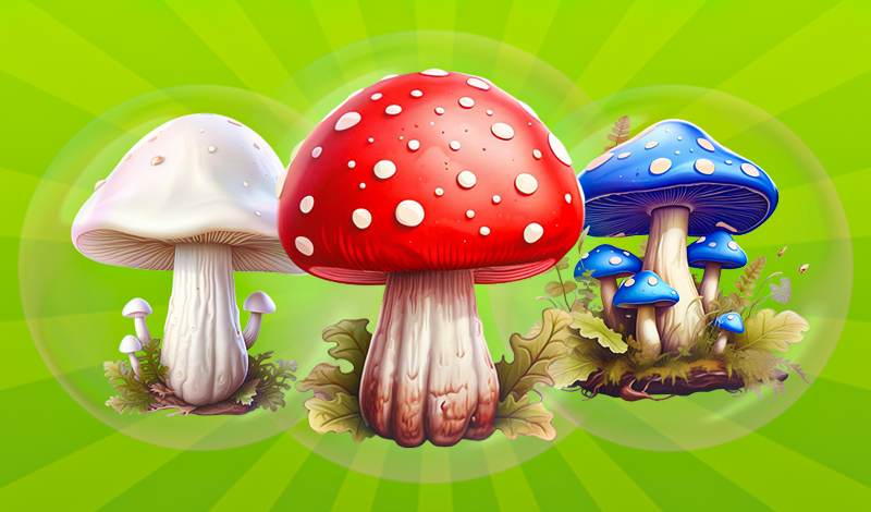 Merge Mushrooms: 2048! game cover