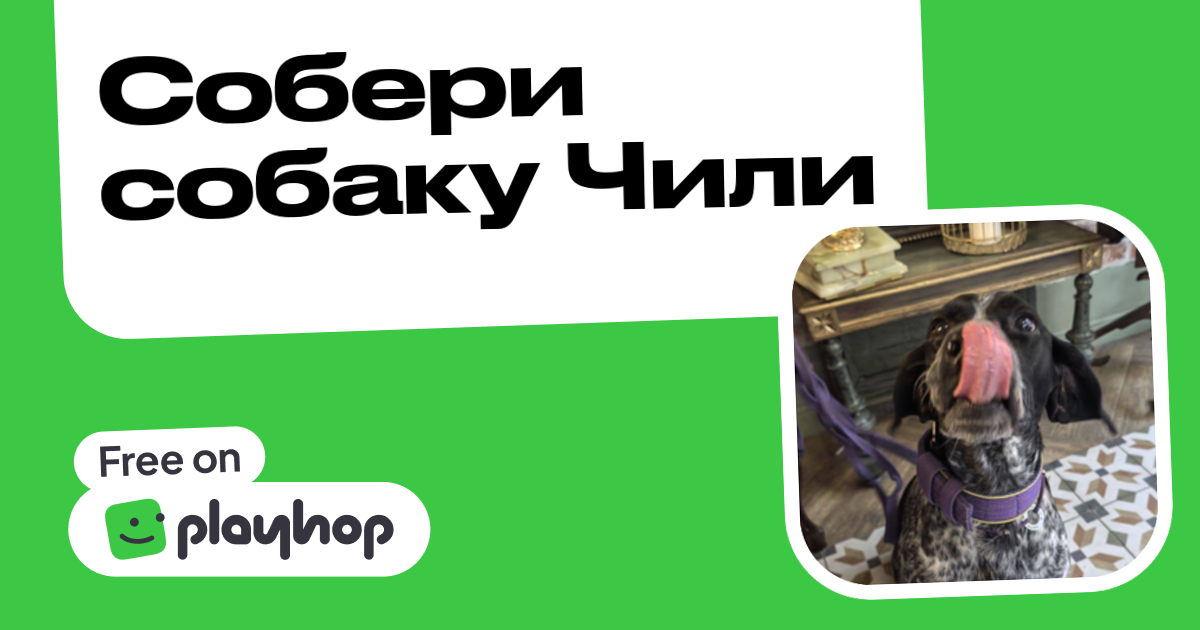 Собери собаку Чили (by doge-developer): Play Online For Free On Playhop