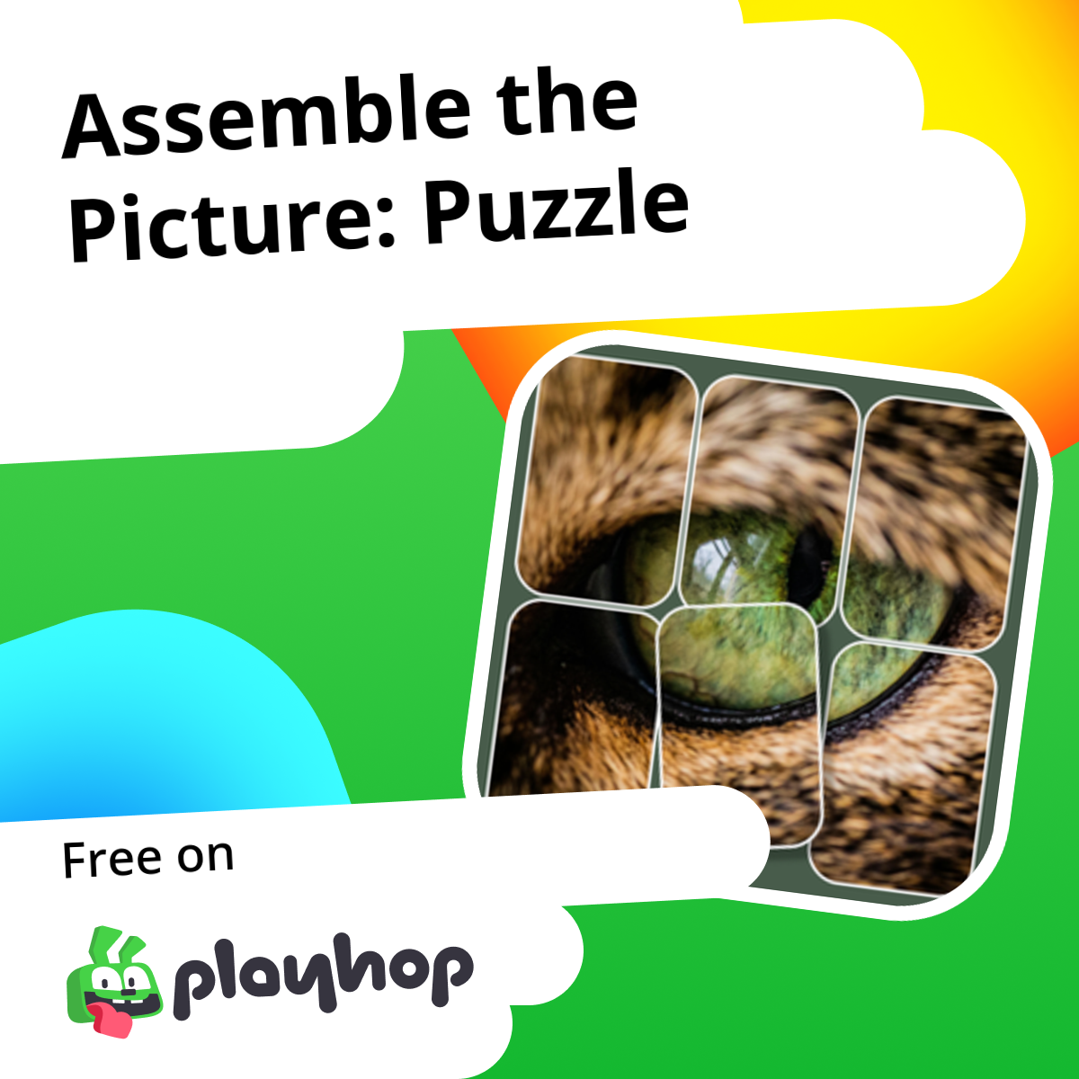 Assemble the Picture: Puzzle: Play Online For Free On Playhop